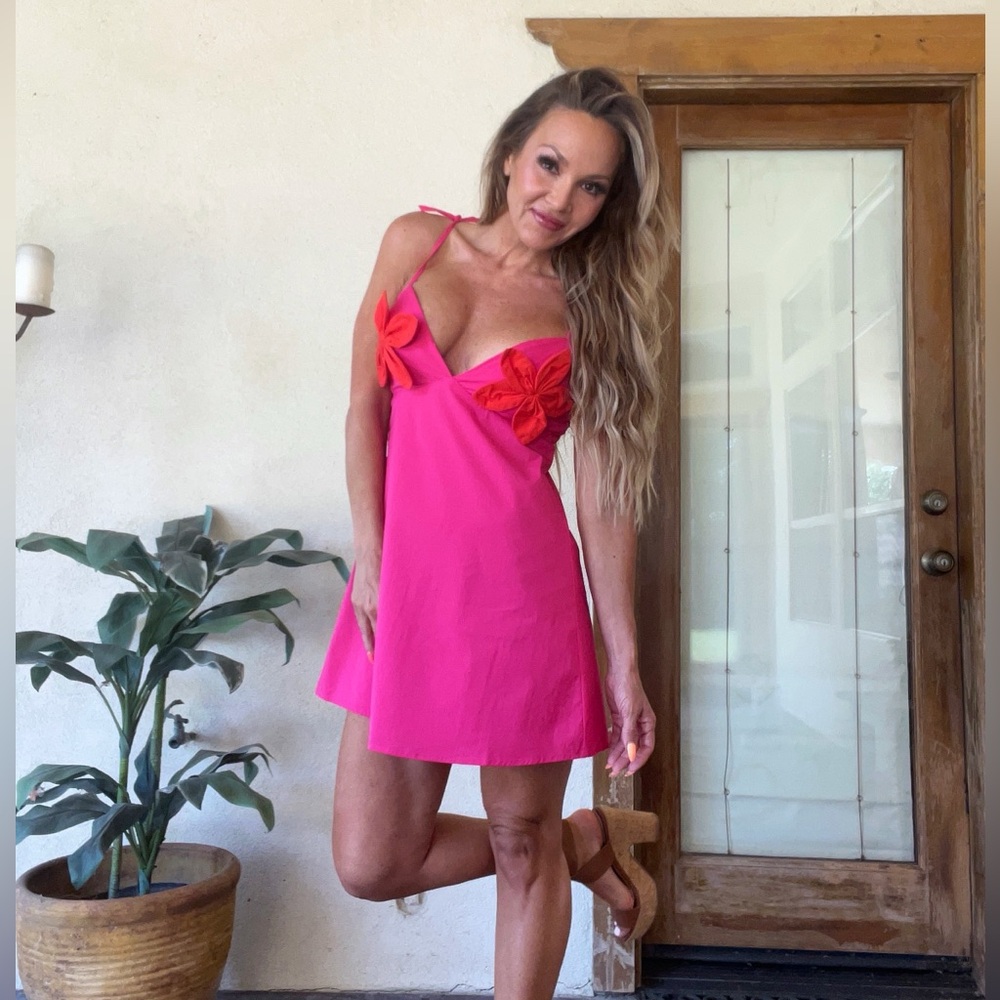 Lulus Pink Dress with Red Floral Accents - Like New , Worn 1 X , see all pics